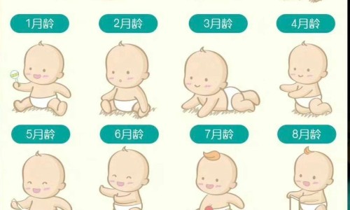 板栗鸡订餐电话-板栗煲鸡的效果-专业板栗煲鸡的效果好吗平台-板栗煲鸡的效果怎么样
